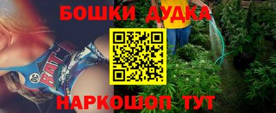 стафф Пенза