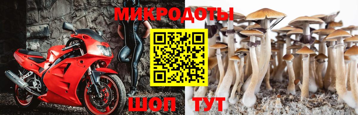 Галлюциногенные грибы мицелий  Вход с VPN  Рязань 